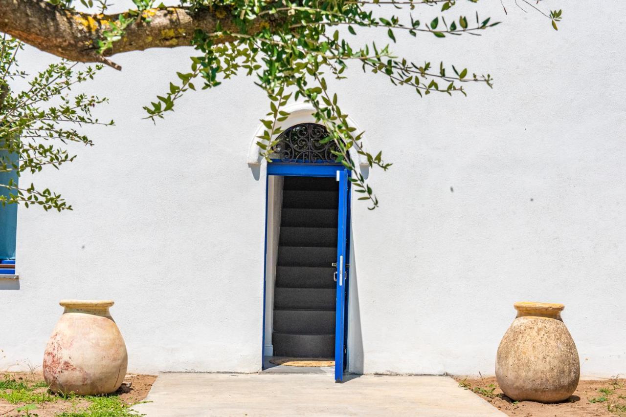 Albergo Rurale Casa Fois วัลเลดอเรีย ภายนอก รูปภาพ